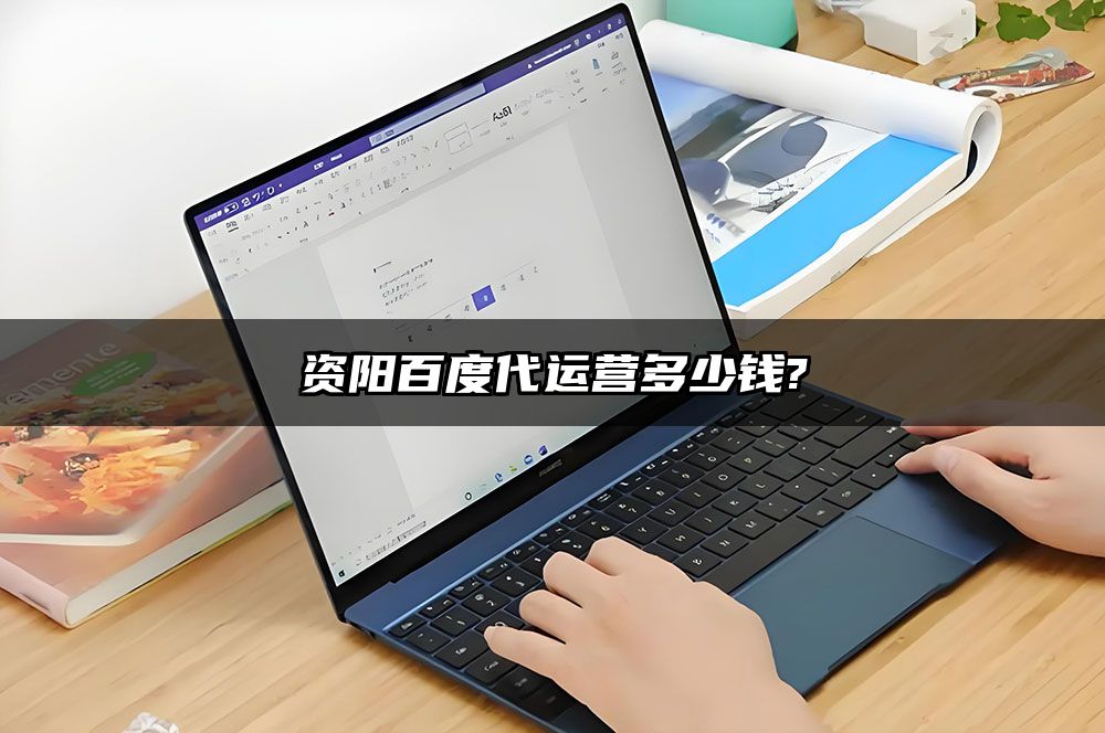 资阳百度代运营多少钱?