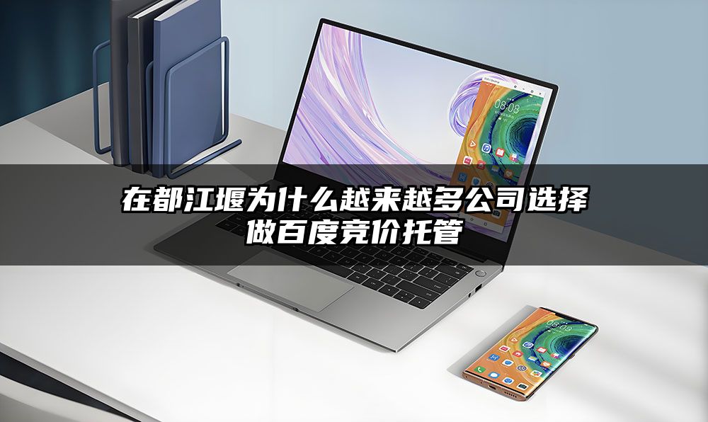 在都江堰为什么越来越多公司选择做百度竞价托管
