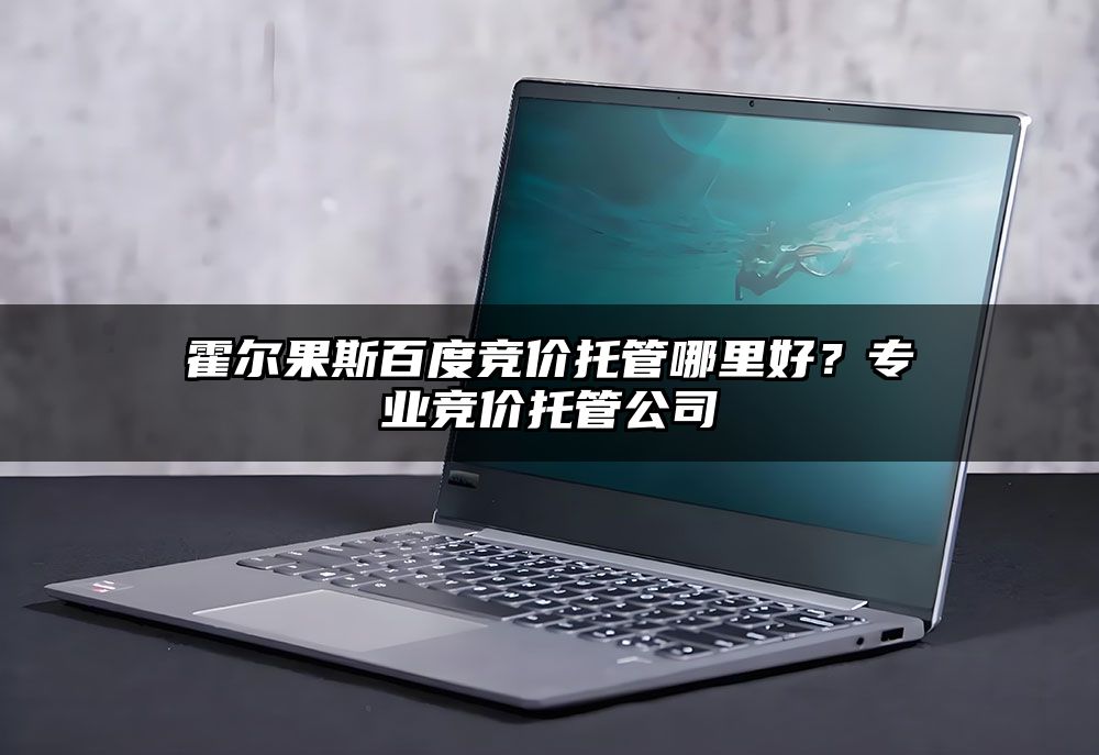 霍尔果斯百度竞价托管哪里好?专业竞价托管公司