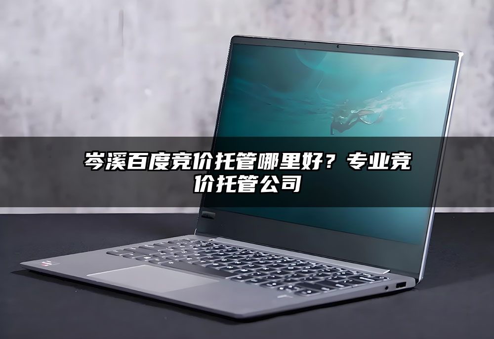 岑溪百度竞价托管哪里好?专业竞价托管公司