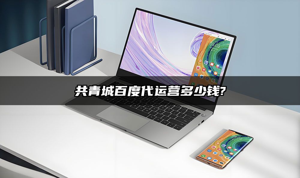 共青城百度代运营多少钱?