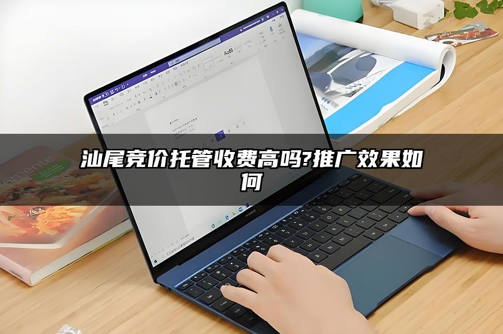 汕尾竞价托管收费高吗?推广效果如何
