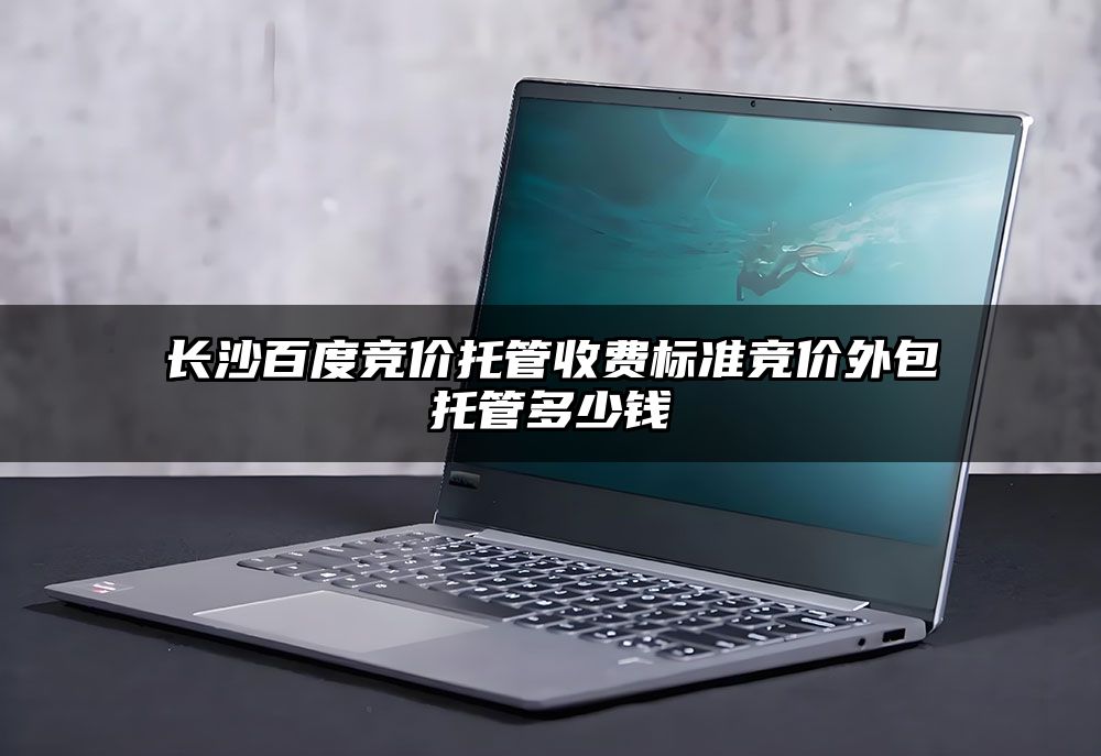 长沙百度竞价托管收费标准竞价外包托管多少钱