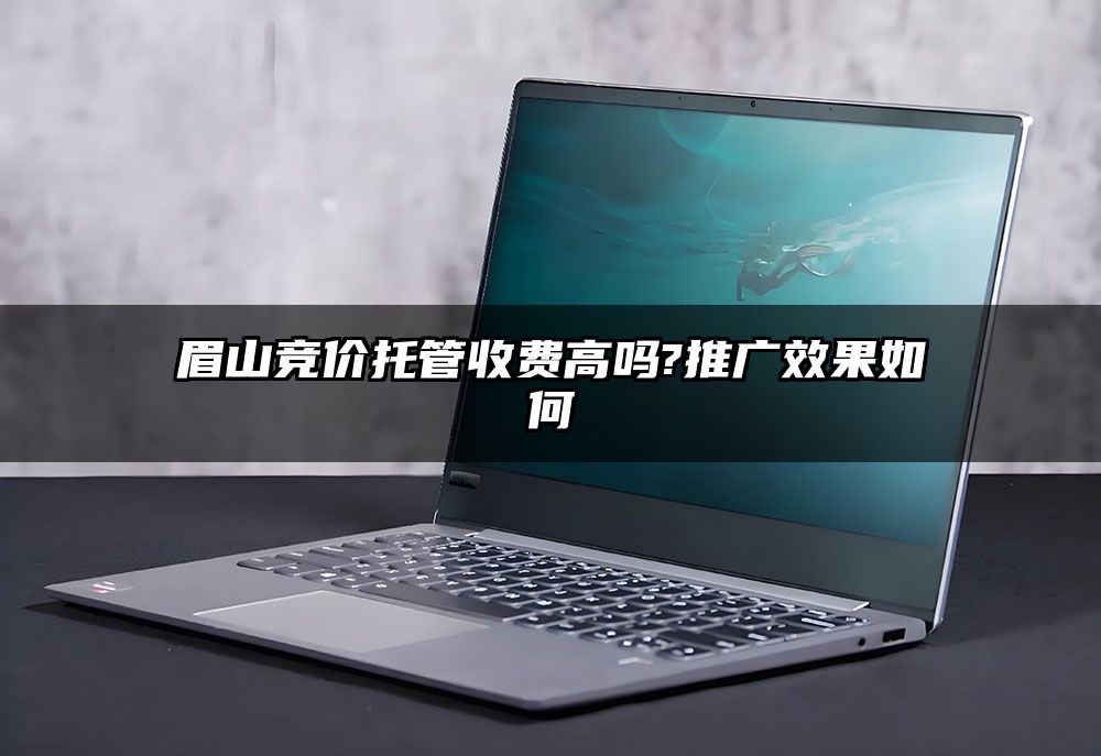 眉山竞价托管收费高吗?推广效果如何