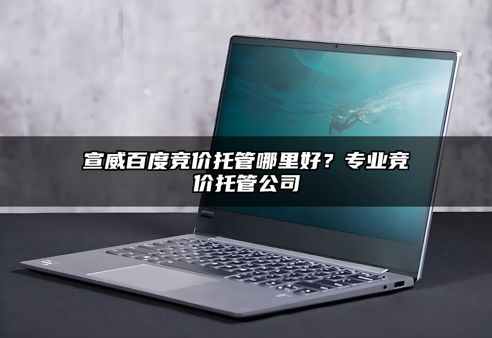 宣威百度竞价托管哪里好?专业竞价托管公司