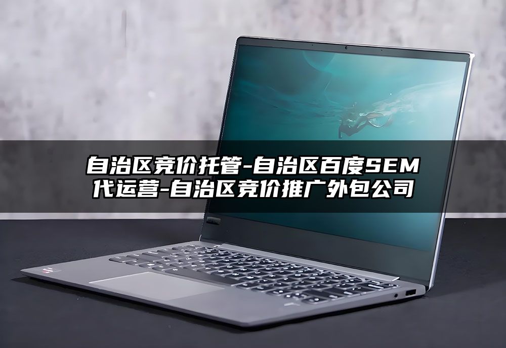 自治区竞价托管-自治区百度SEM代运营-自治区竞价推广外包公司