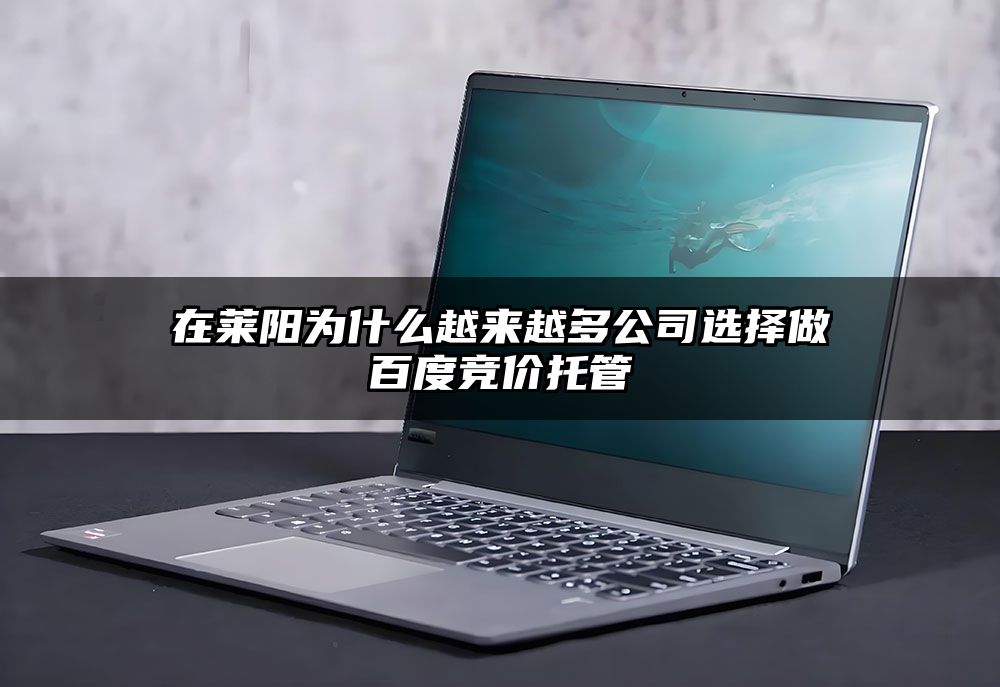 在莱阳为什么越来越多公司选择做百度竞价托管