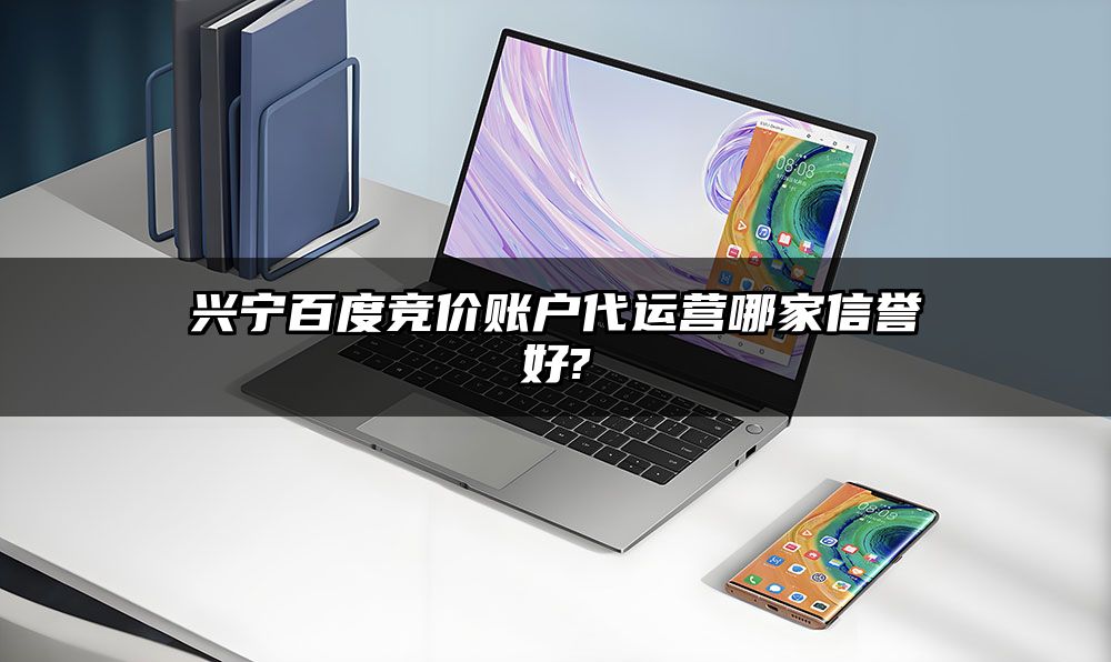 兴宁百度竞价账户代运营哪家信誉好?