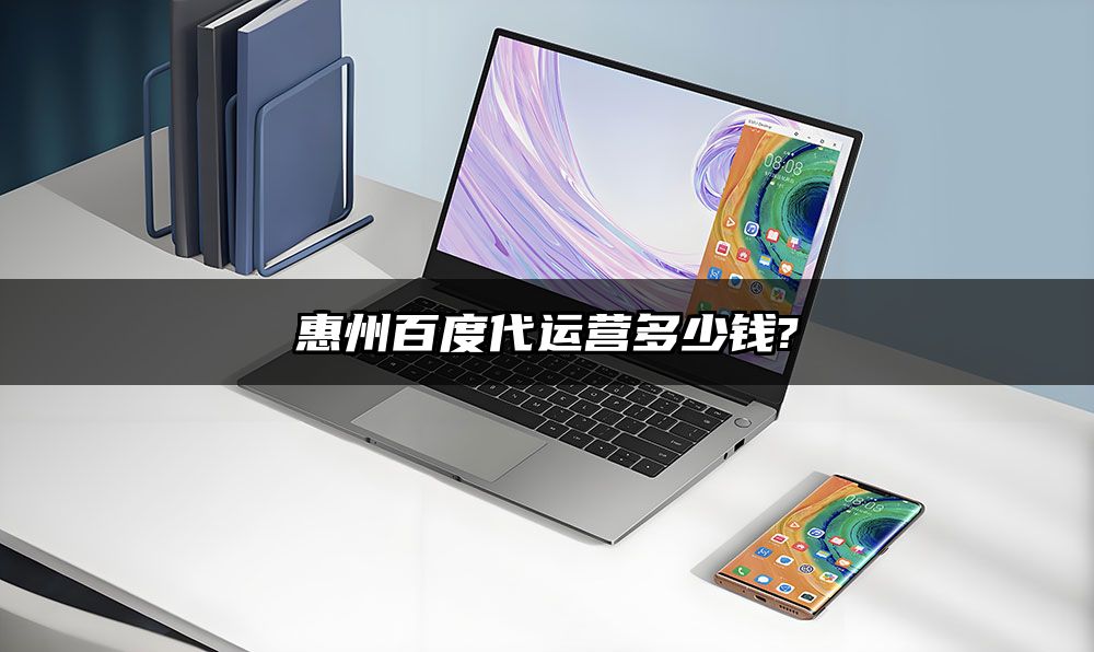 惠州百度代运营多少钱?