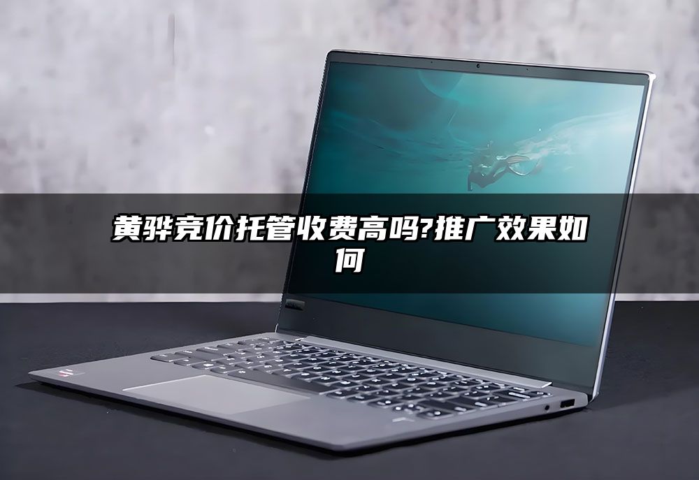 黄骅竞价托管收费高吗?推广效果如何